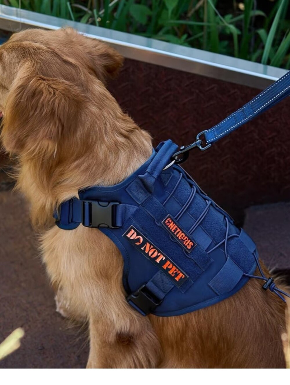 OneTigris Harness